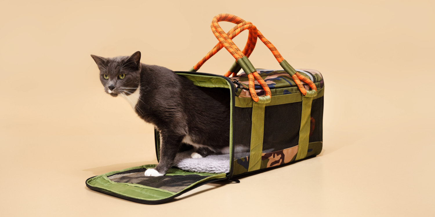 10 Best Cat Carriers of 2024 Tested and Reviewed by Editors