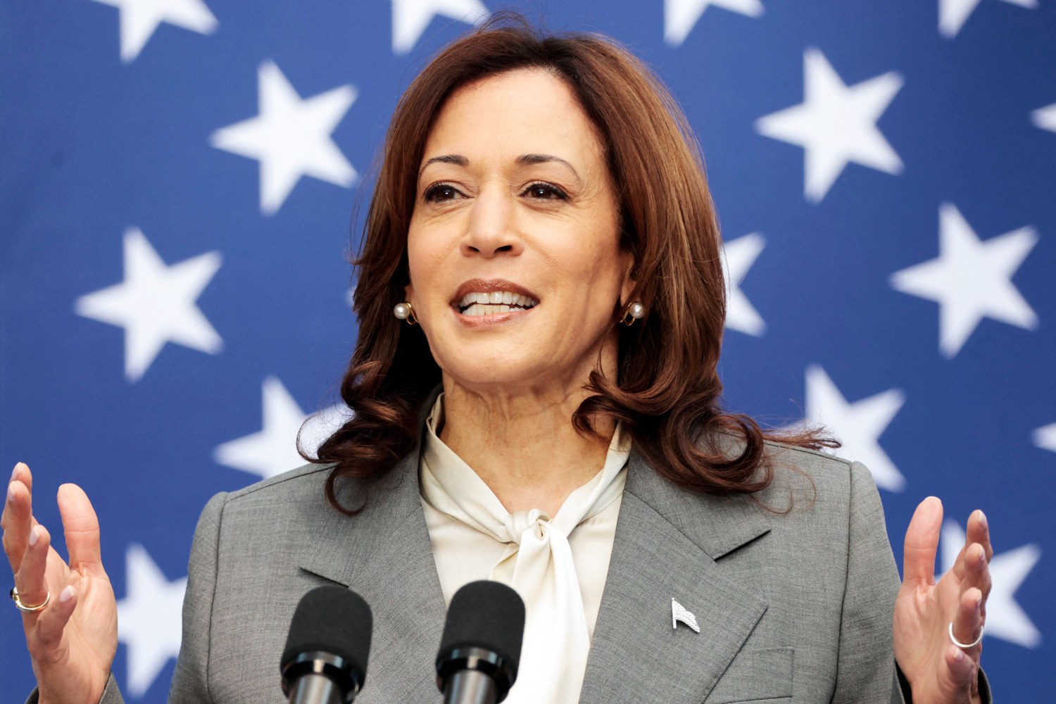 Kamala Harris says more Indian American representation is needed in  government