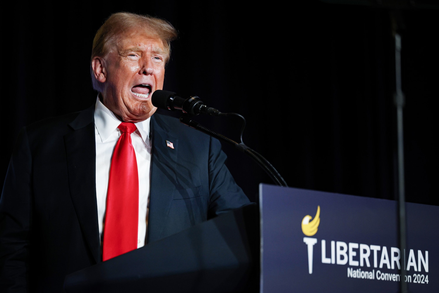 Trump booed and jeered at Libertarian National Convention