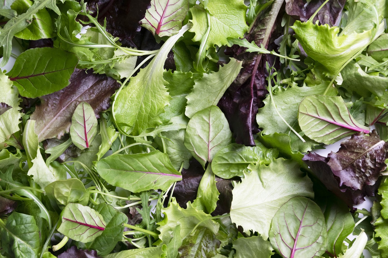 5 Healthiest Salad Leaves & Least Nutritious, According to Dietitians