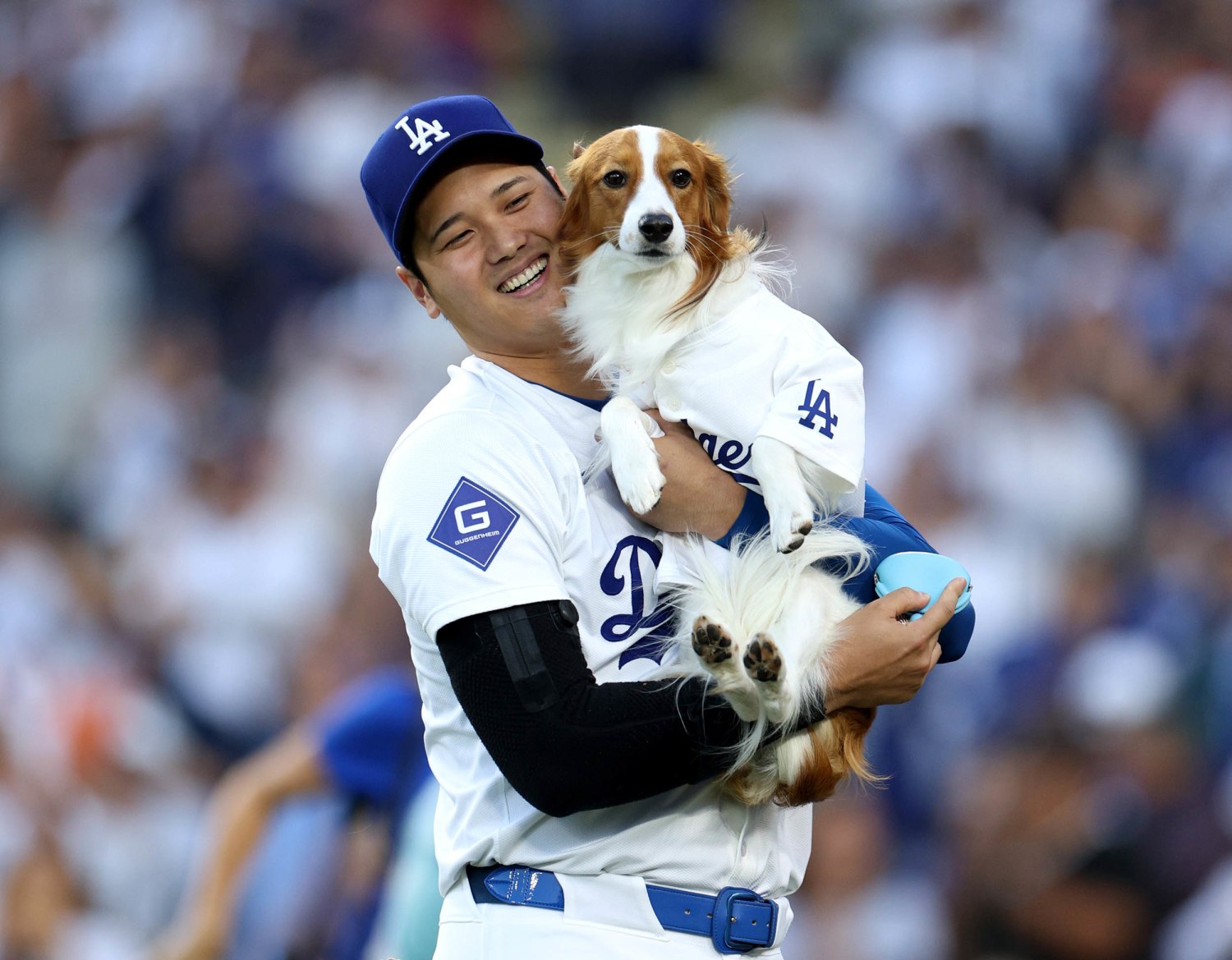 Shohei Ohtani's Dog Throws Out First Pitch At Dodgers Game