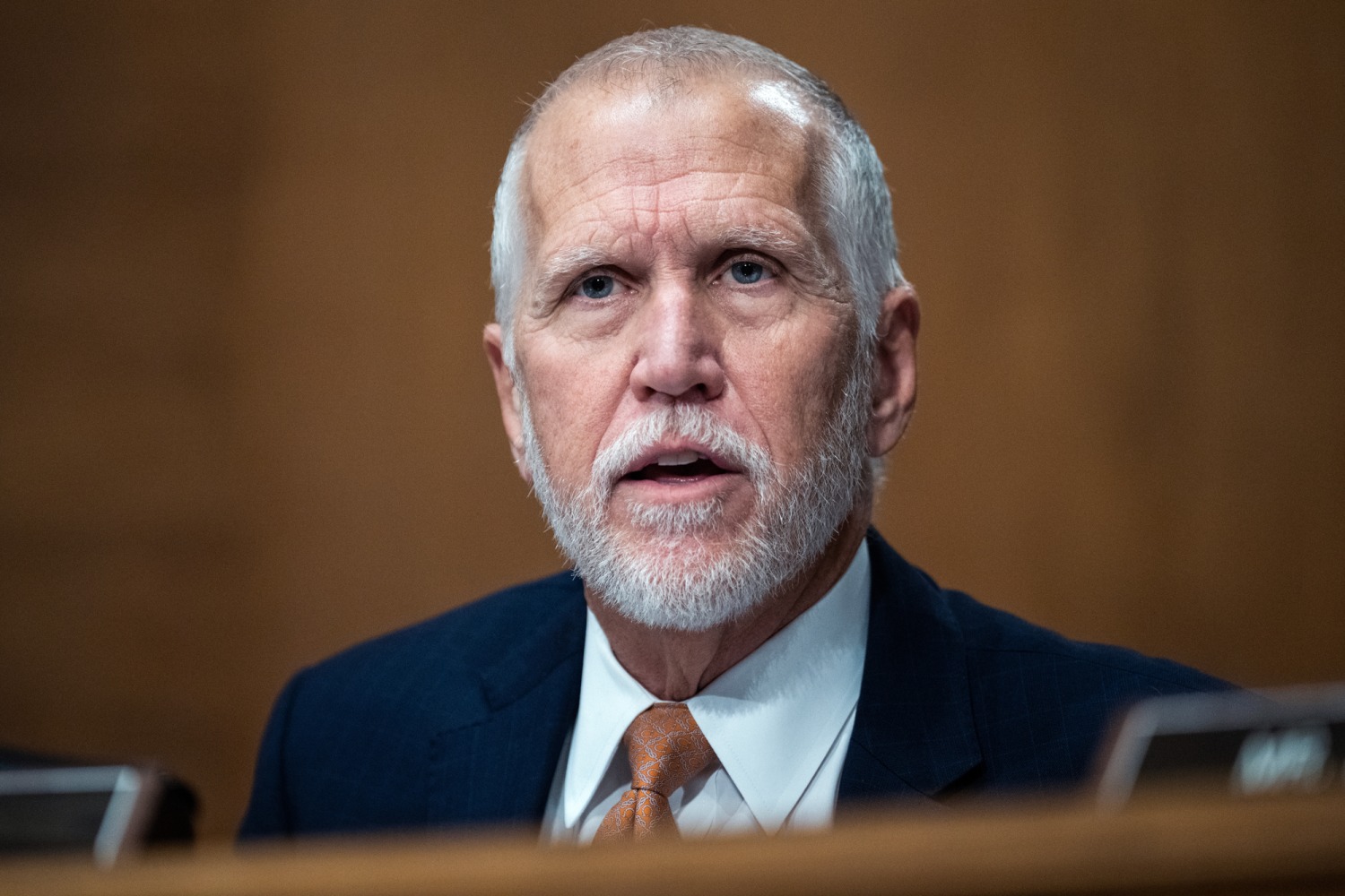 Political opportunists' threaten to challenge Republicans who oppose Trump's picks, GOP senator says