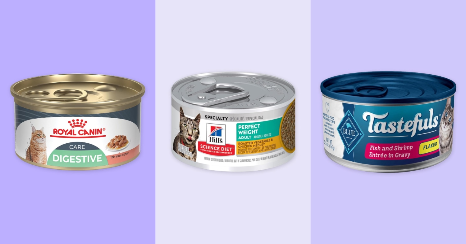 healthiest wet cat food 2019