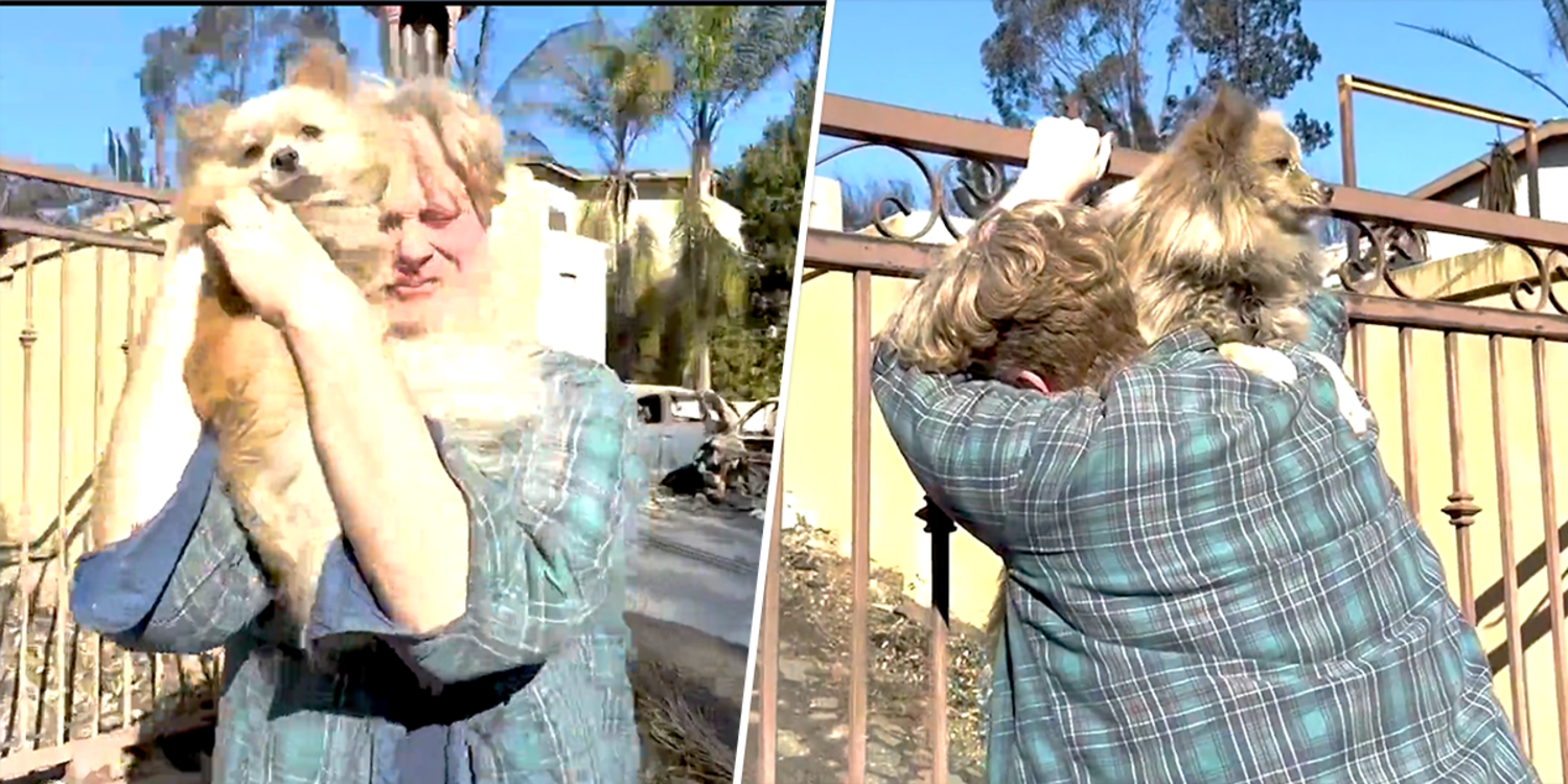 Man Reunites With Dog Oreo After Evacuating Palisades Fire In Emotional Video