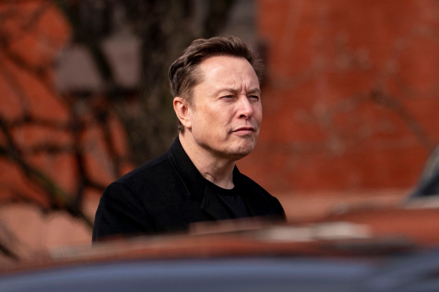 250225-Musk-aa-1023-237aee.jpg