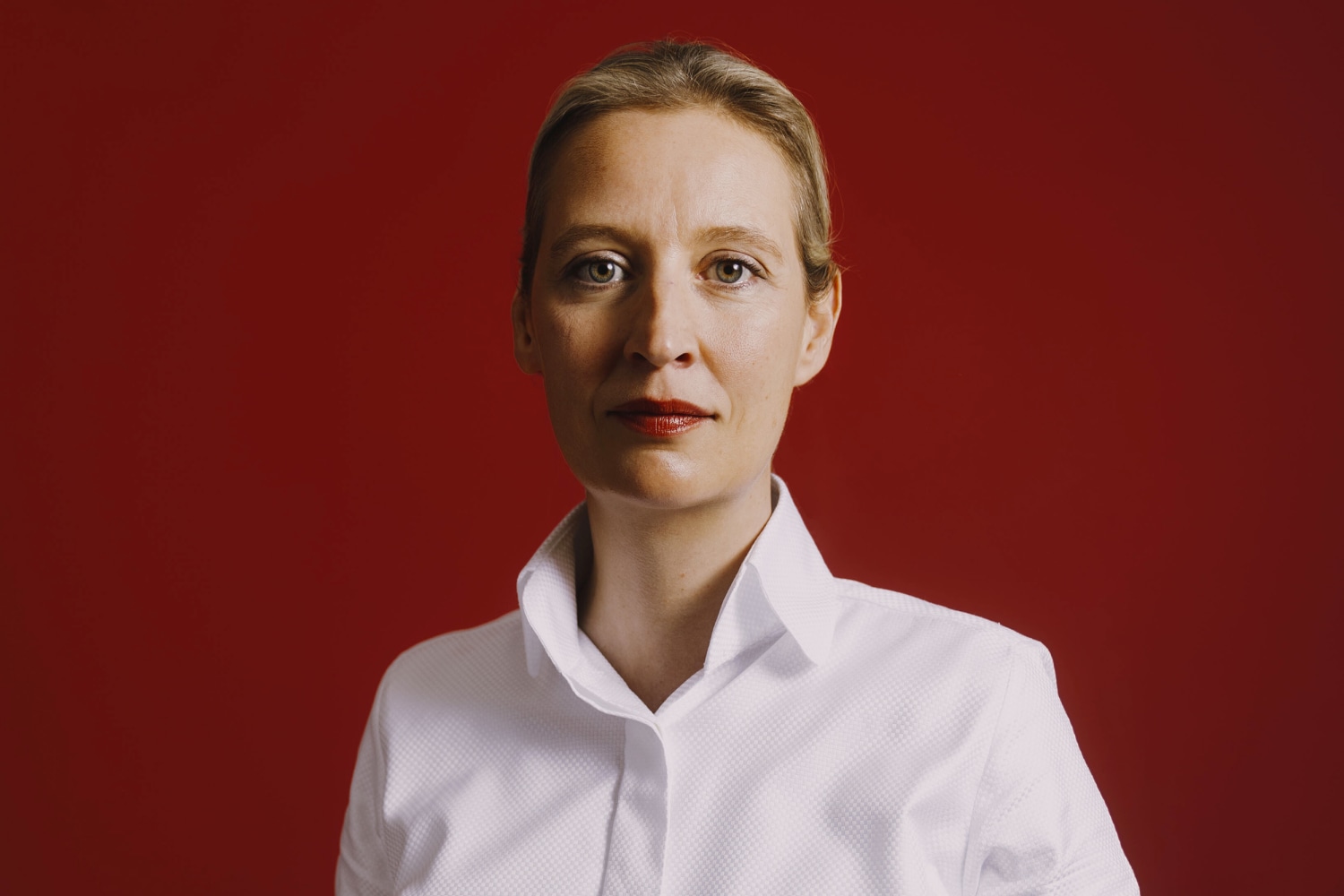 Alice Weidel doesn't fit the profile of a far-right politician. The German  AfD is willing to look past it.