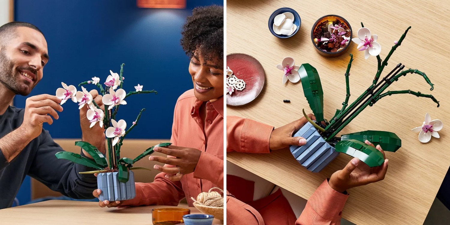 250314-lego-orchard-bd-main-