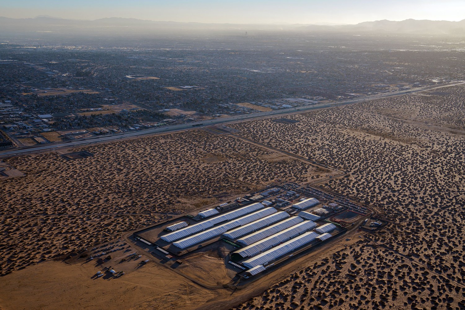 ICE Detention Deaths 2026: Fatalities Hit 22-Year High