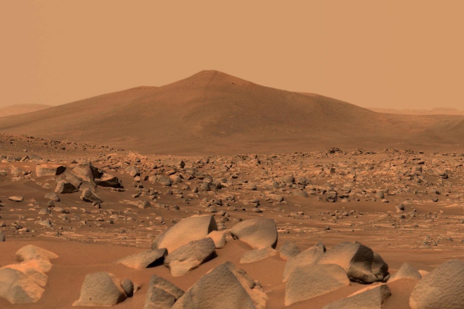 Elon's Martian Gamble: A Billion Shares, a Million Souls, and the Price of Ambition