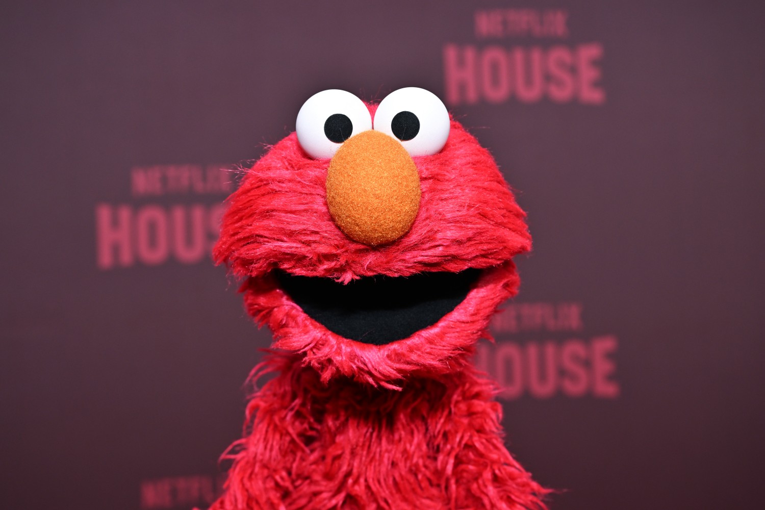 Elmo backs both Knicks and Spurs, then jokes after fan backlash | Prism ...