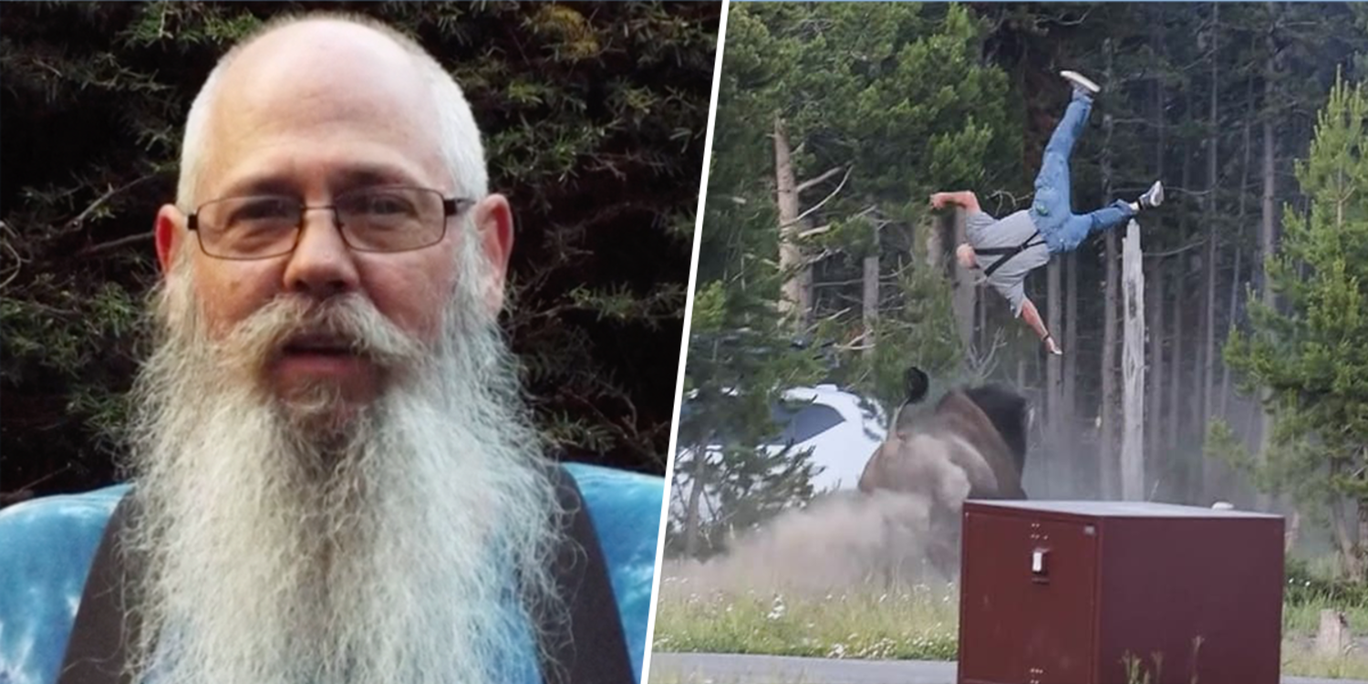 Bison Attack Survivor Speaks out on Dangerous Encounter