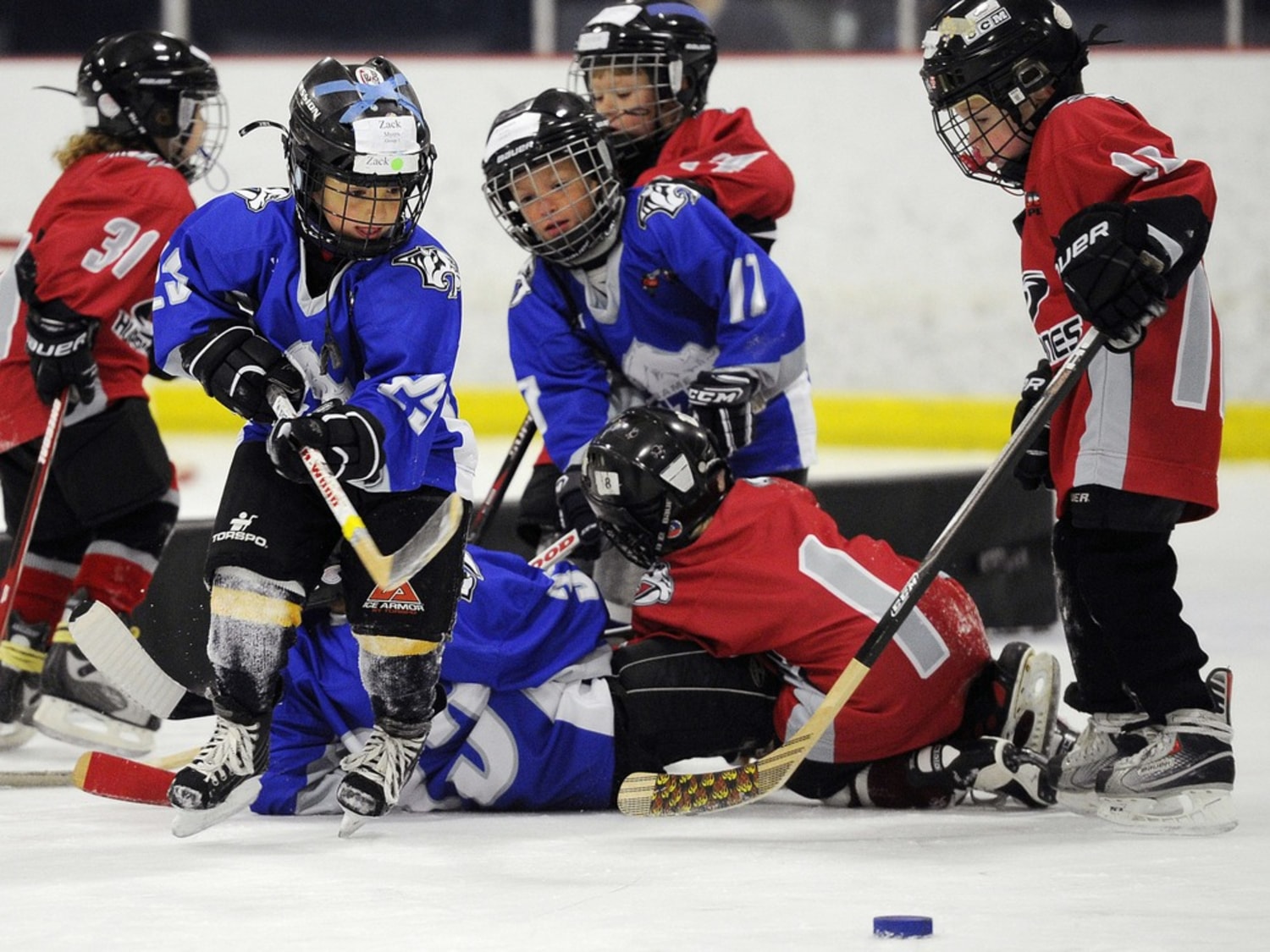 Bright Future for In-Line Hockey Has Dimmed - The New York Times