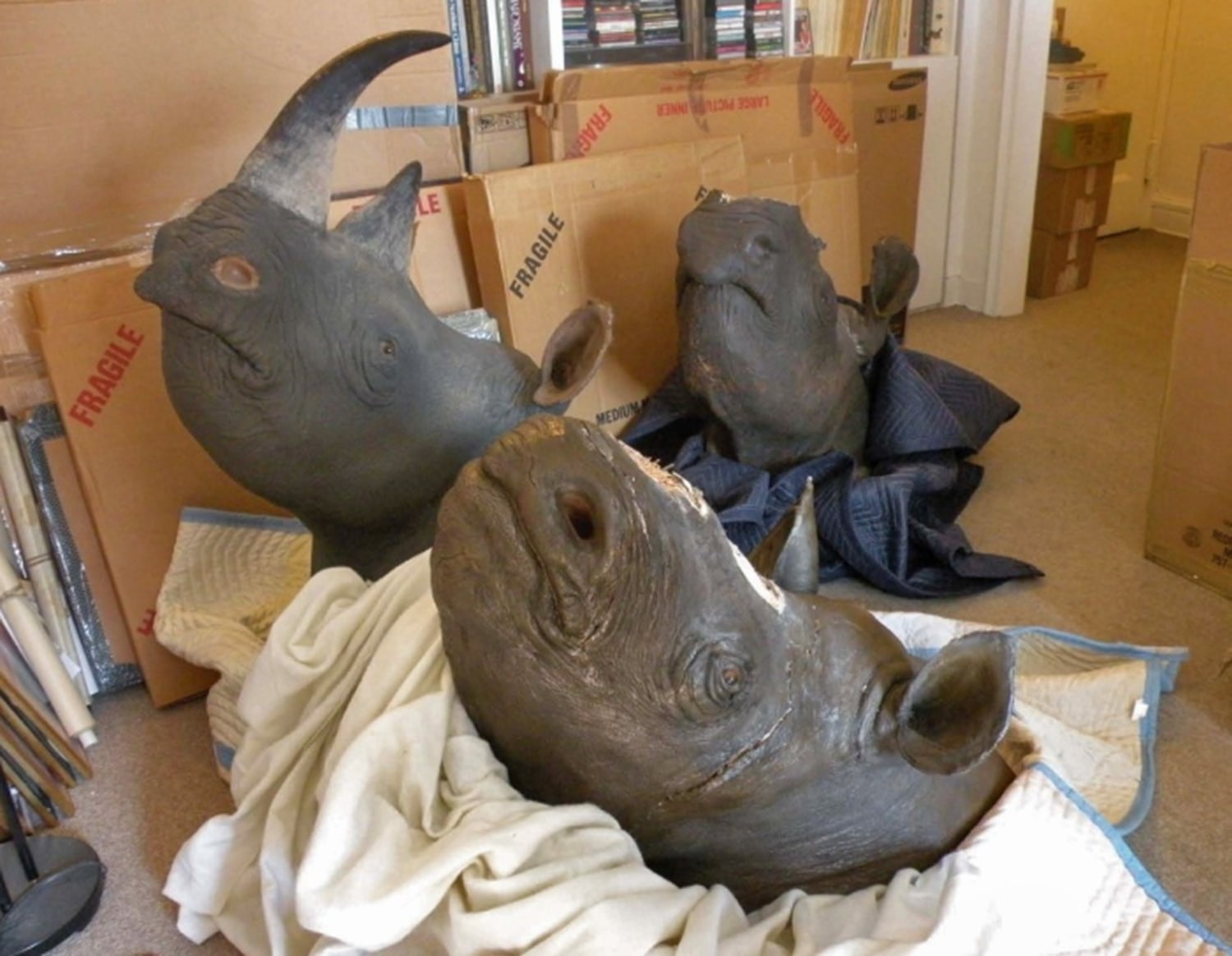 Antiques dealer double-crossed investigators to get valuable rhino horns