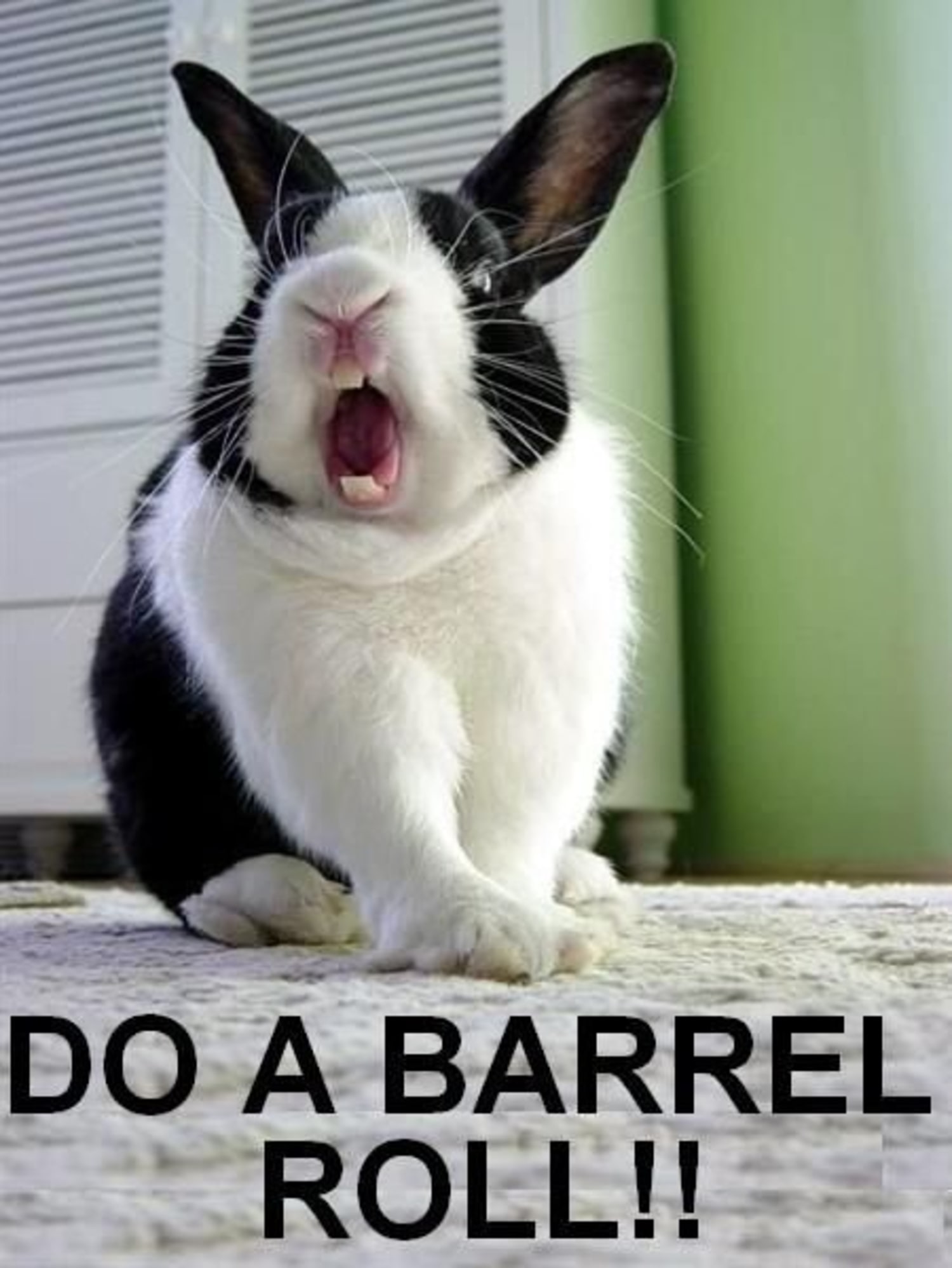 Do a barrel roll trick. It's wonderful when it comes to web