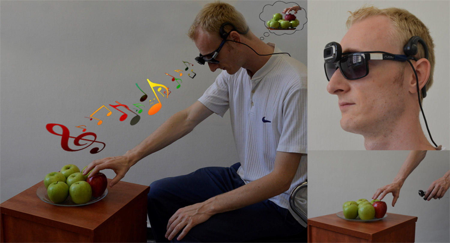 Mean proportion of steps produced by blind, blindfolded, and sighted