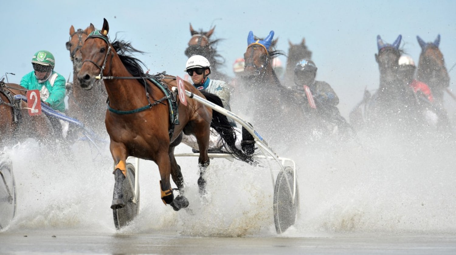 Germans race horse drawn carts through tidal mudflats