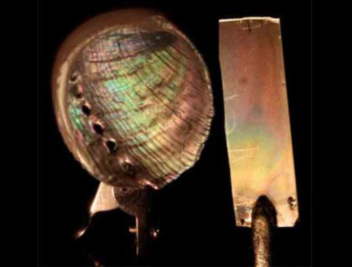 The science behind mother of pearl: what makes Nacre the mother of  materials - Science in the News