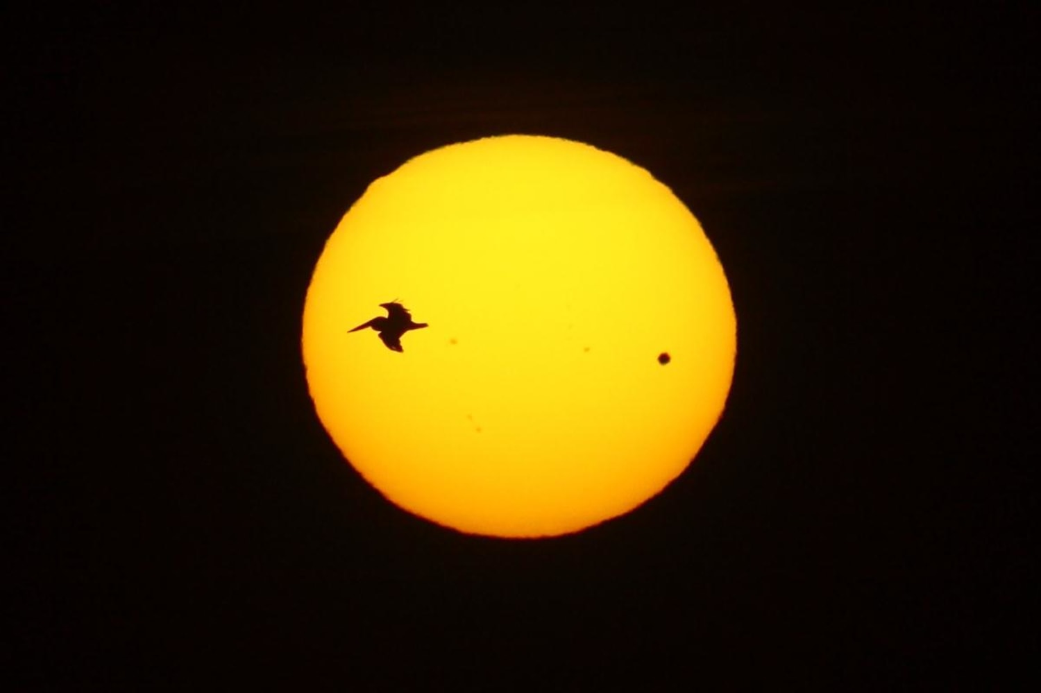 Your views and videos of Venus