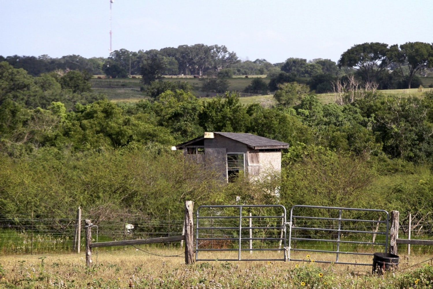 No charges for Texas father who killed daughter's alleged molester