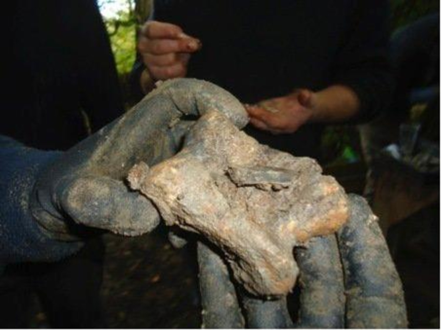 Stonehenge: Did ancient 'machine' move stones from Wales? - BBC News