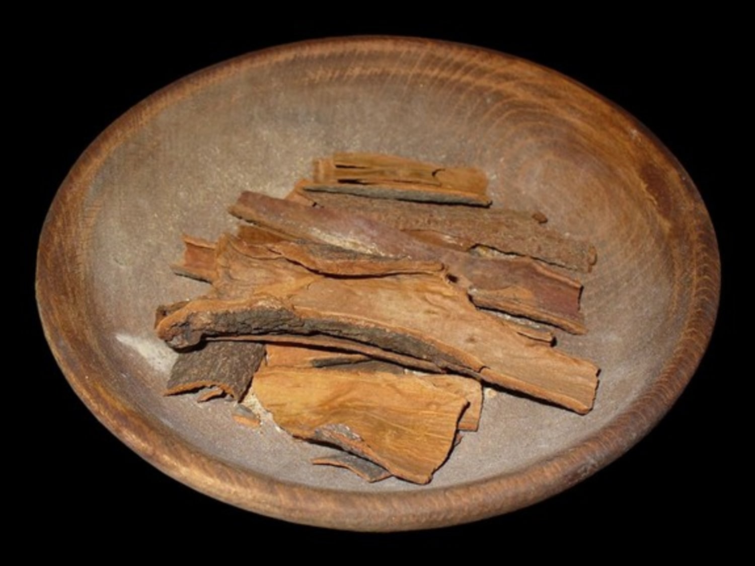 【楽ギフ_包装】 of Evidence 3,000-year-old Israel in found trade cinnamon 工芸品