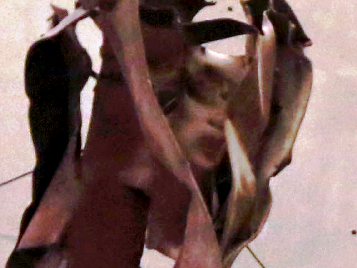 Angel of 9/11': Steel visage tricks the eye — and touches the heart