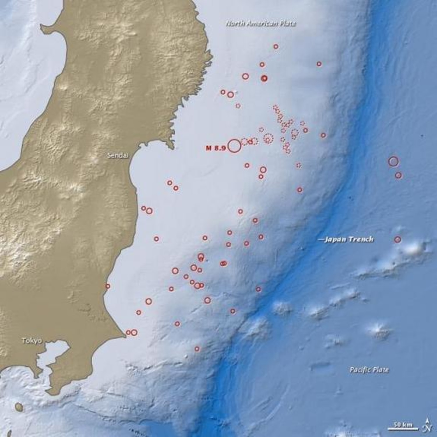 Japan Earthquake Unleashed Surprising Torrent Of Energy