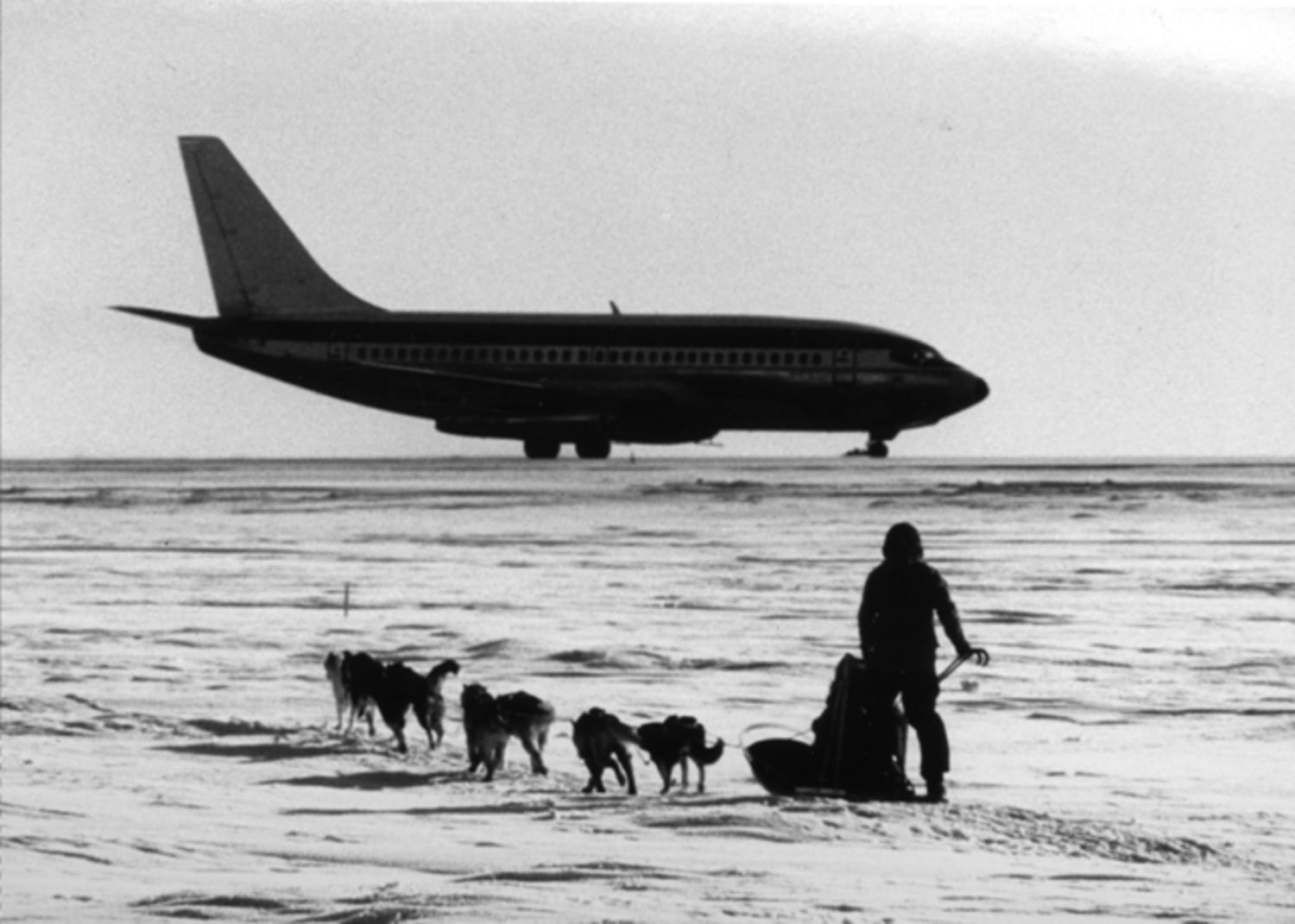 Alaska airlines flying with a outlet dog