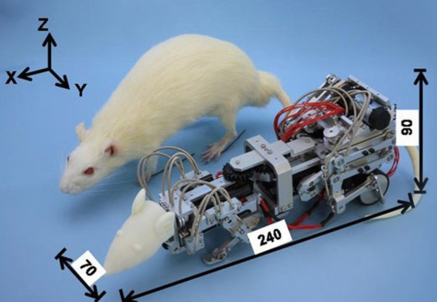 Pitiless robo-rat bullies real rats into depression  for science!