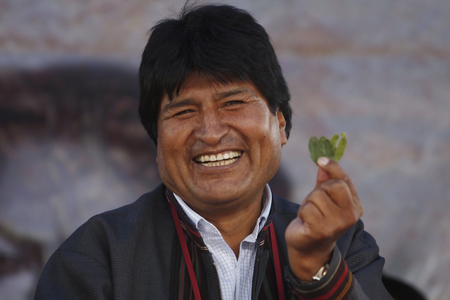 1B5533749-pb-130114-coca-leaves-legal-jsa-2.jpg