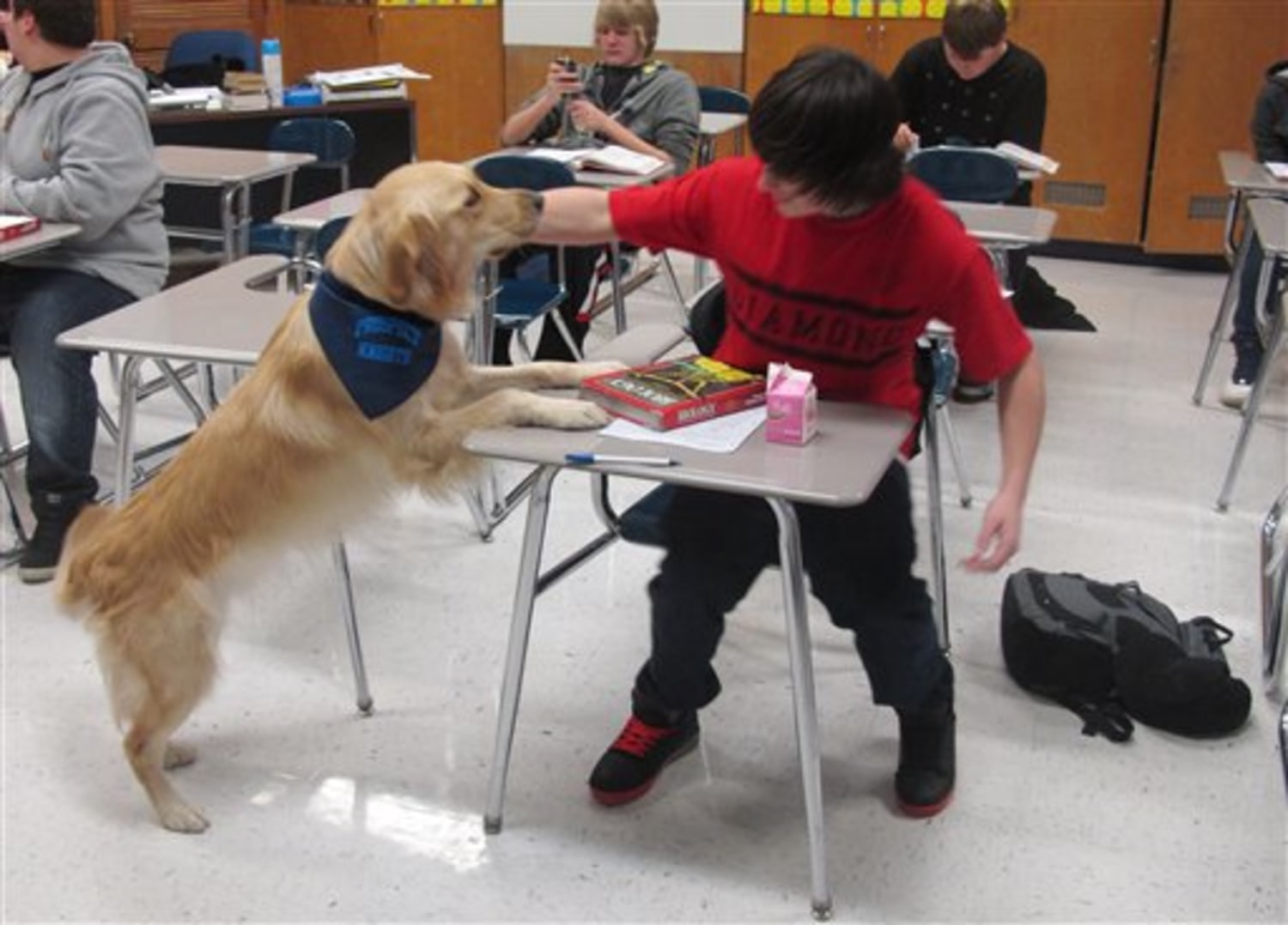 Schools give stressed out students therapy dogs yoga