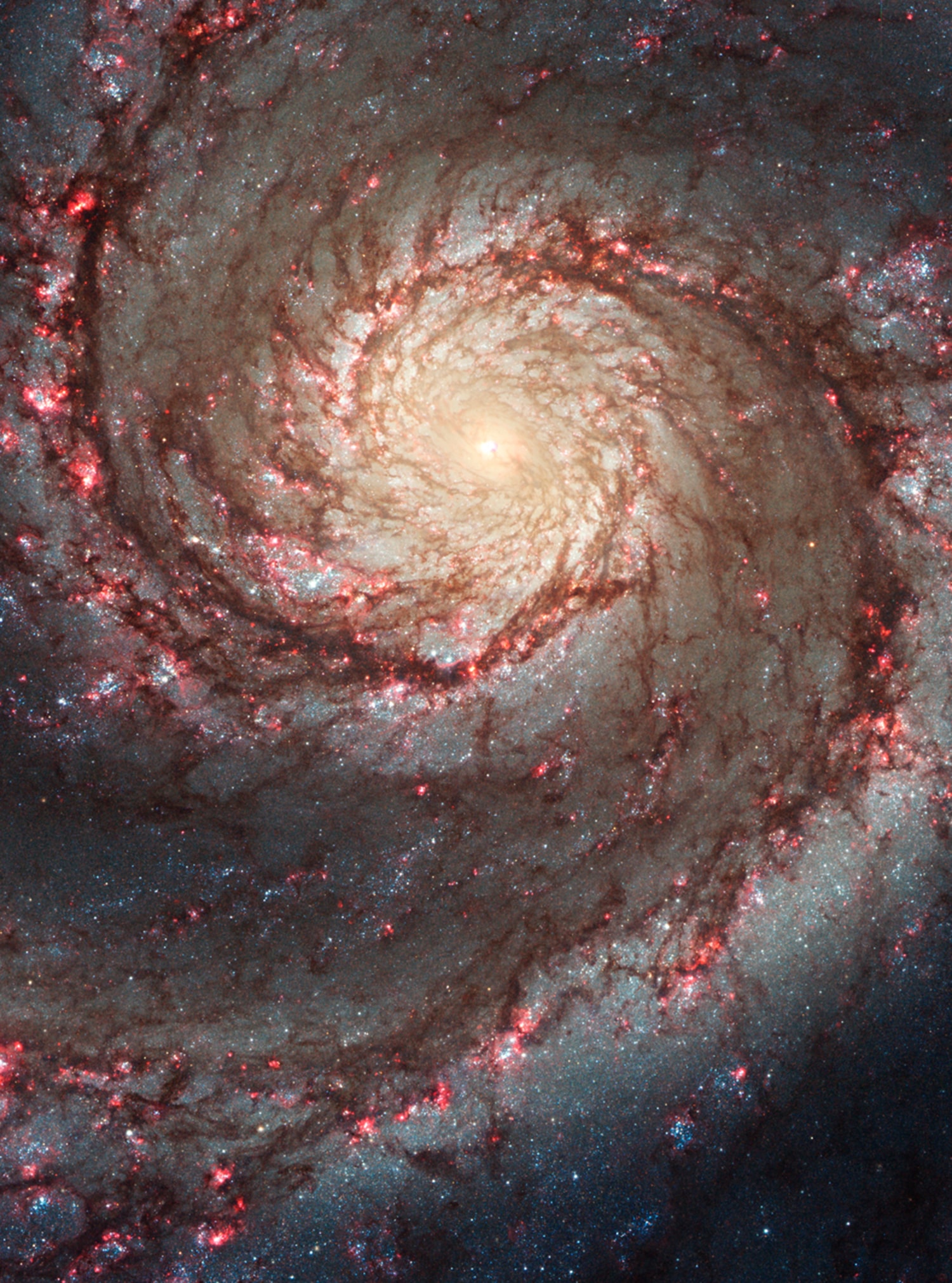 NASA shares new views of galaxies