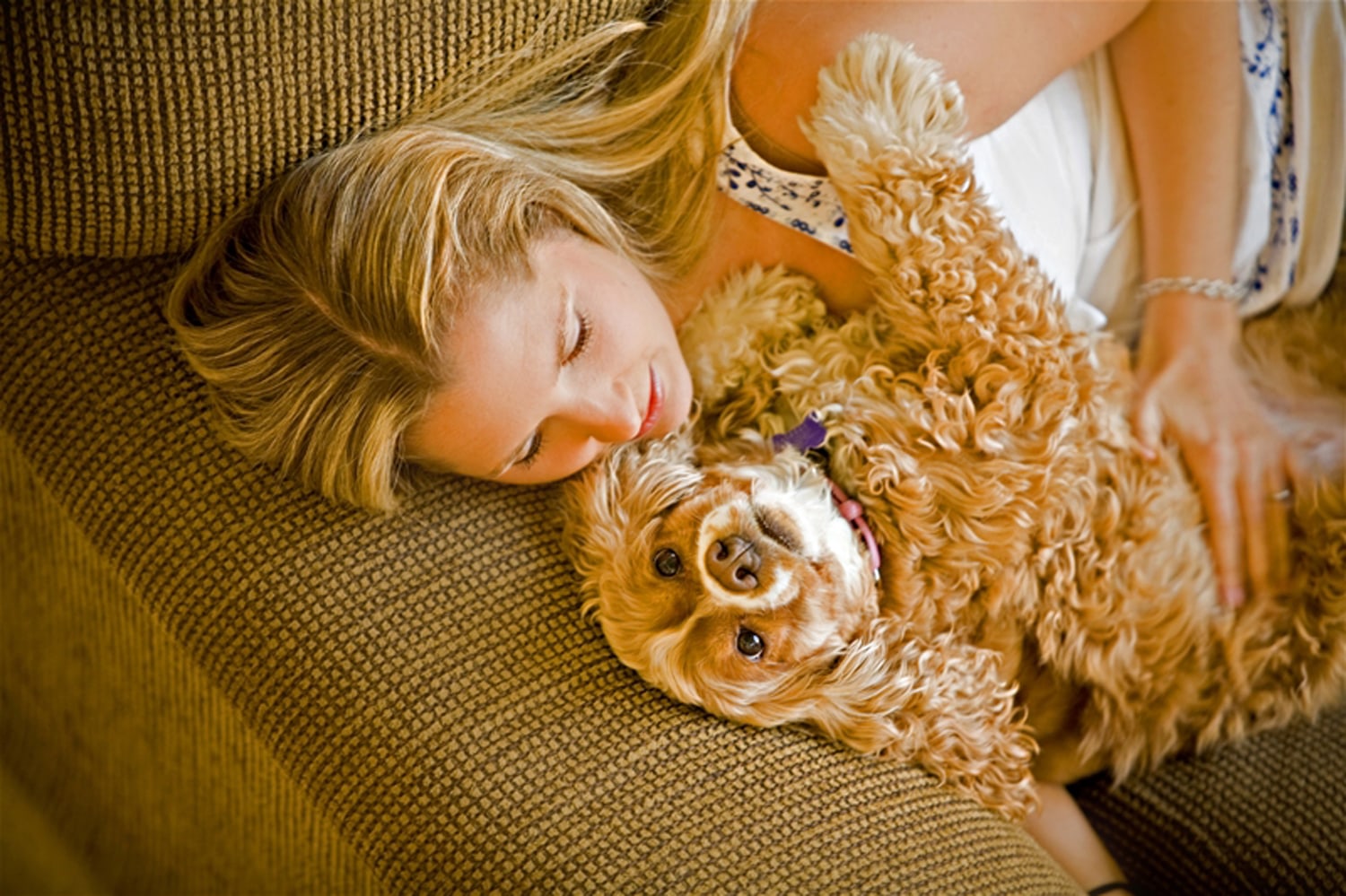 5 ways pets can ease your stress 5 ways pets can ease your stress
