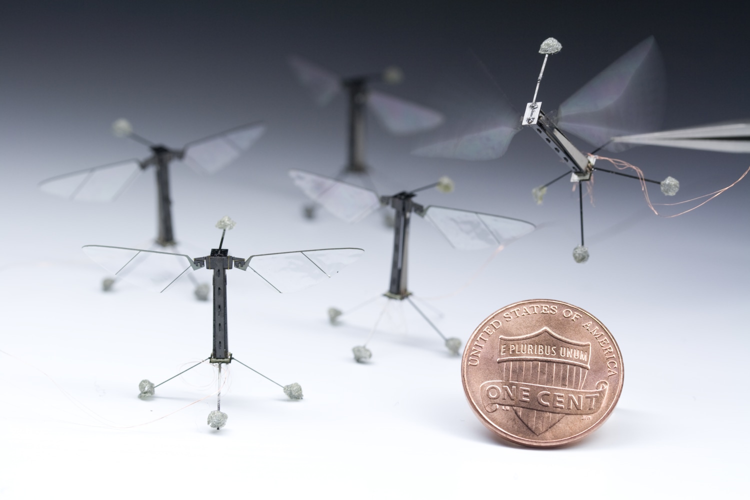 smallest flying robot