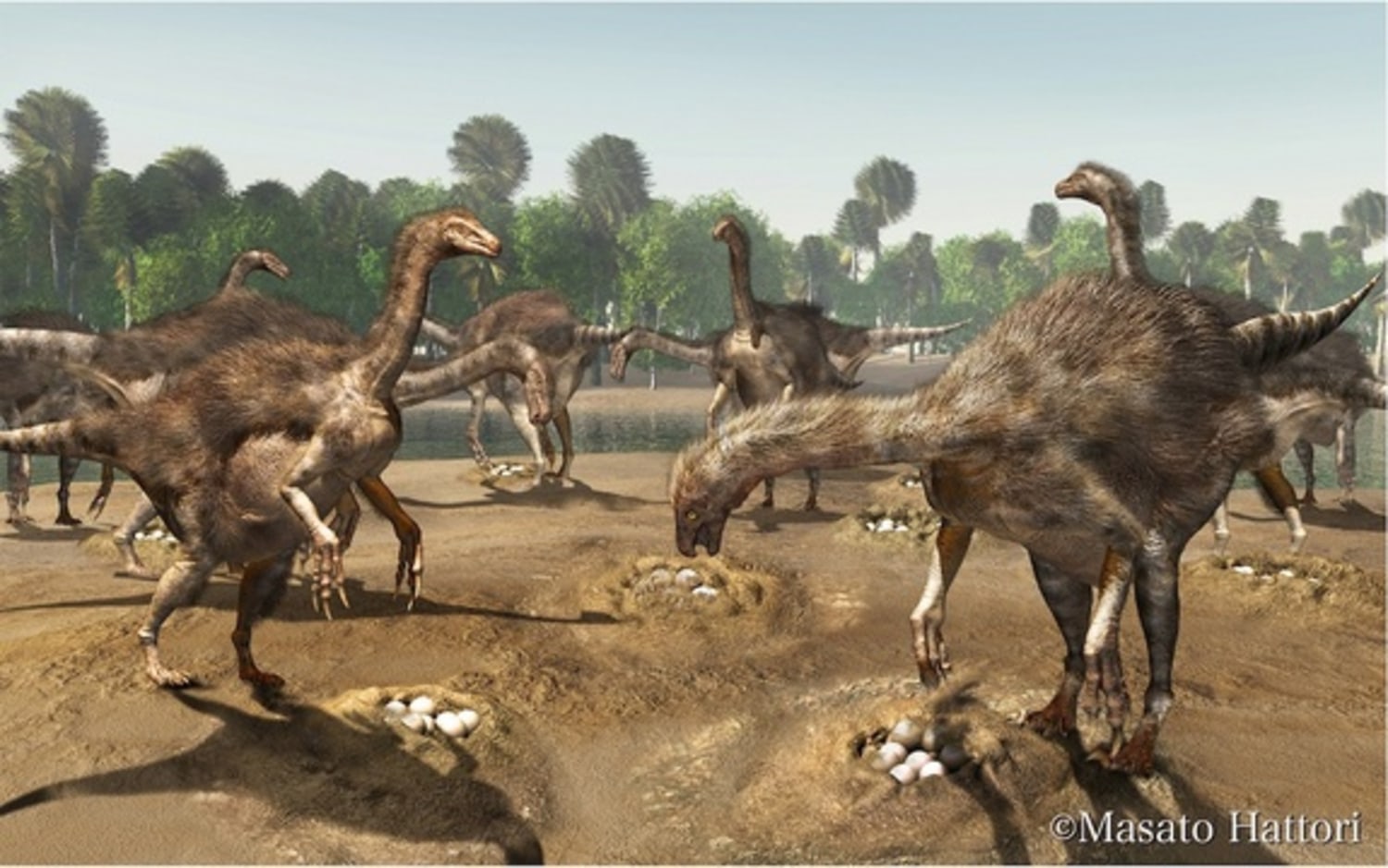 Nests of bizarre big-clawed dinosaurs unearthed in Mongolia