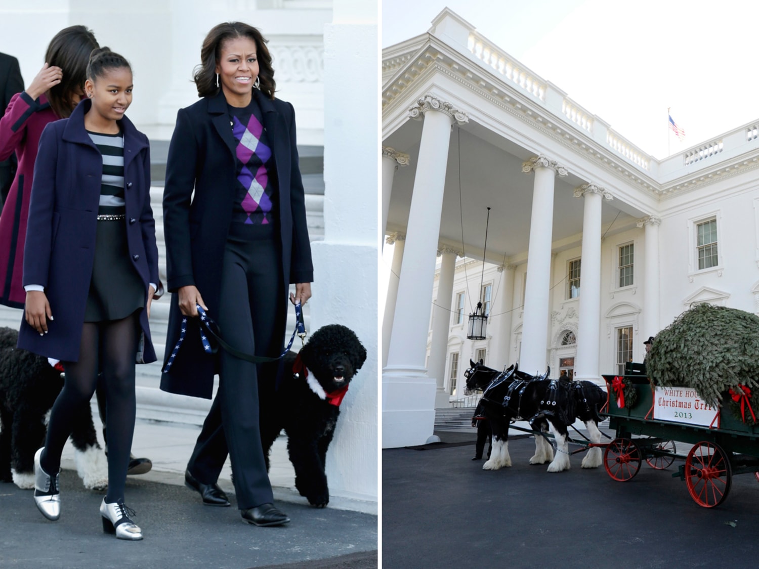 christmas tree blazer