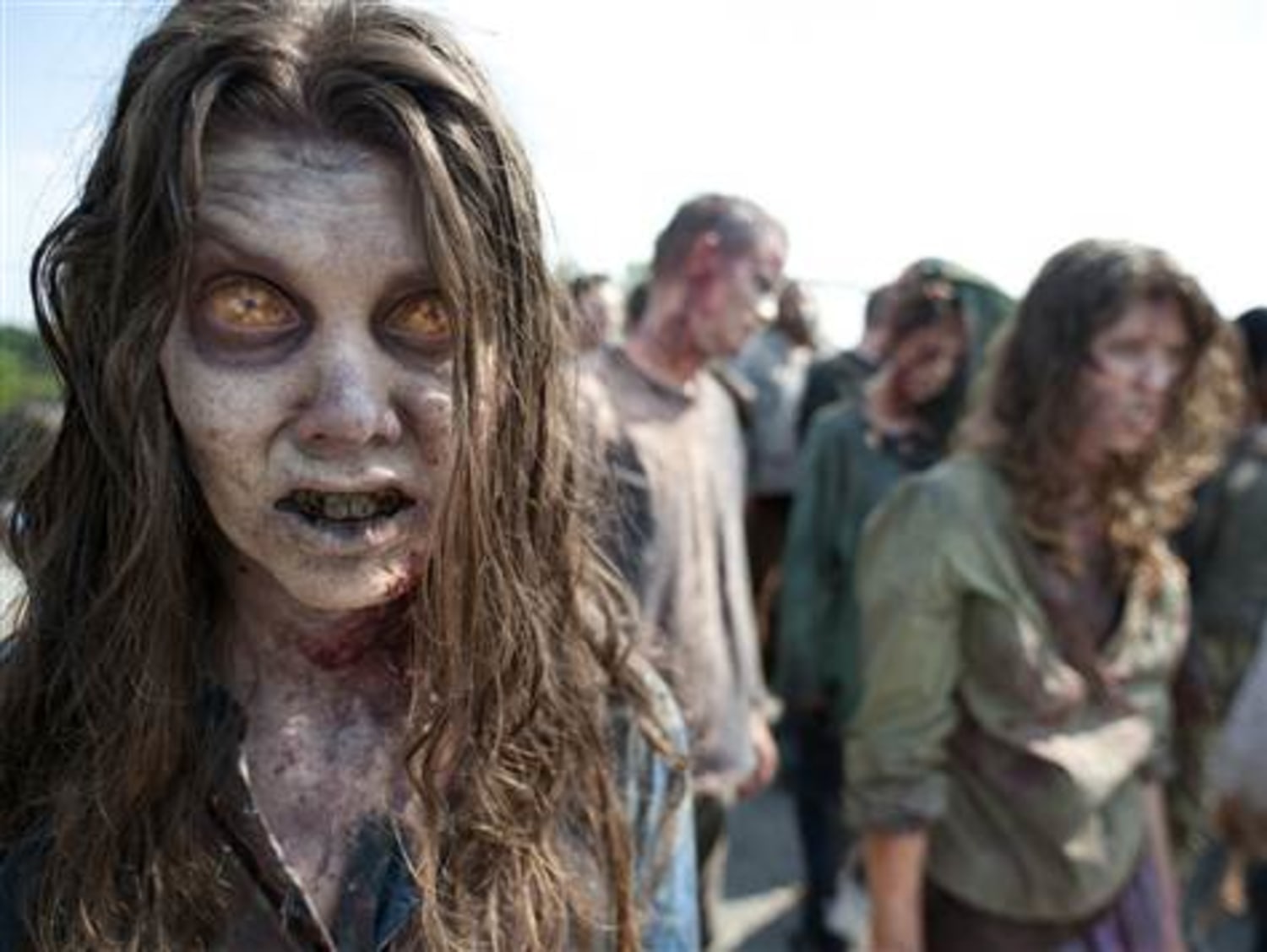 All Things TWD/ Zombies/ Zombie Shows & Movies