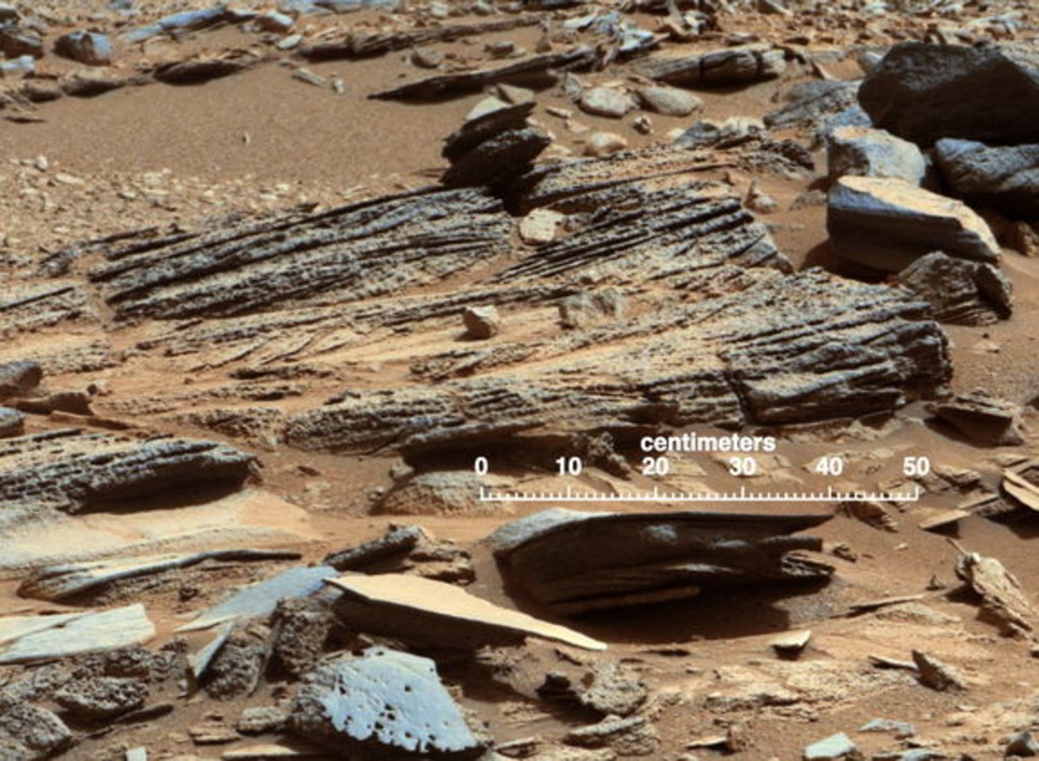 Mud Cracks on Mars Hint at Conditions That Could Have Formed Life Long Ago, Smart News