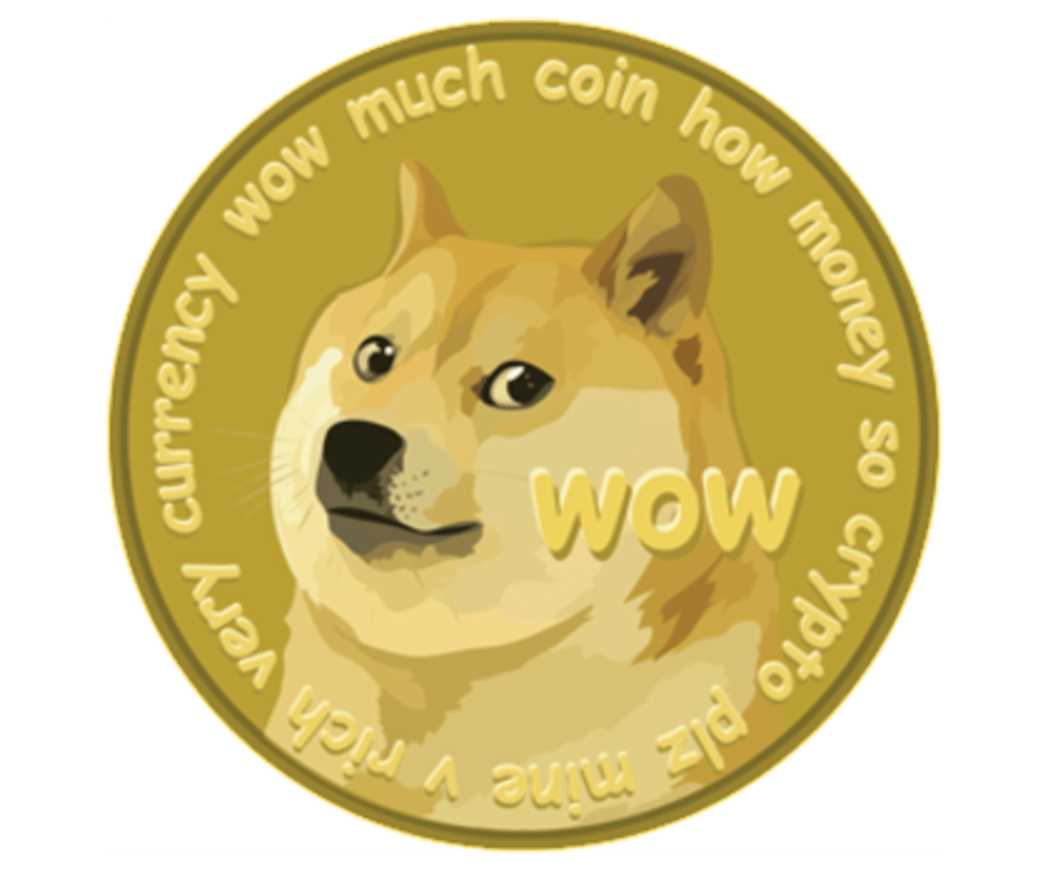 Dogecoin cryptocurrency donors help send Indian athletes to Sochi