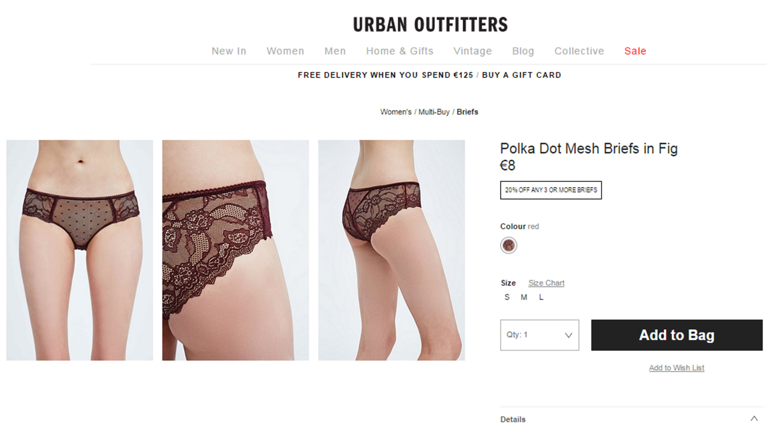 Urban Outfitters Underwear Lingerie Mesh Briefs Lace Panties