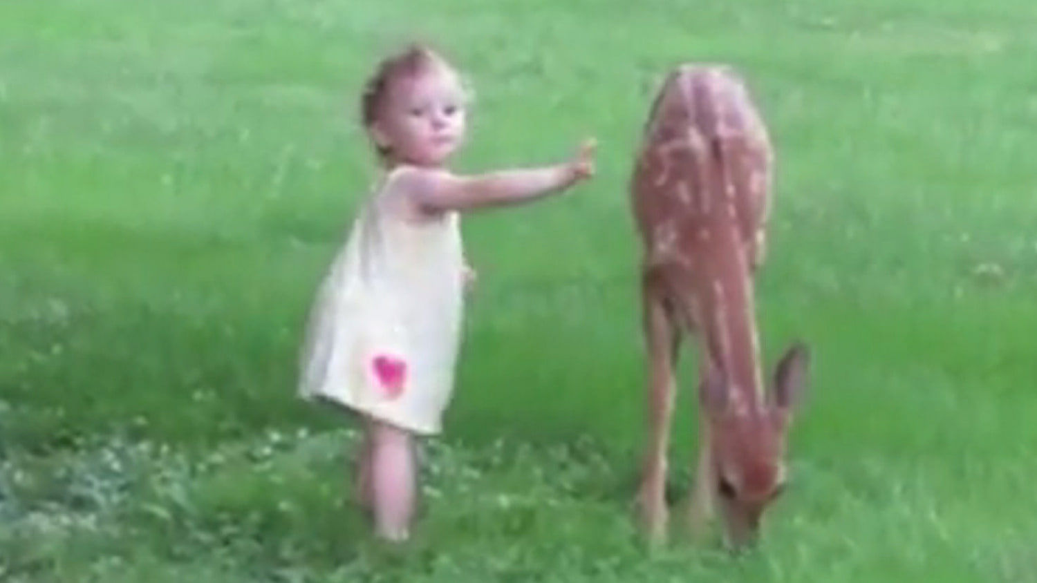 Geenny baby girl deer sales family