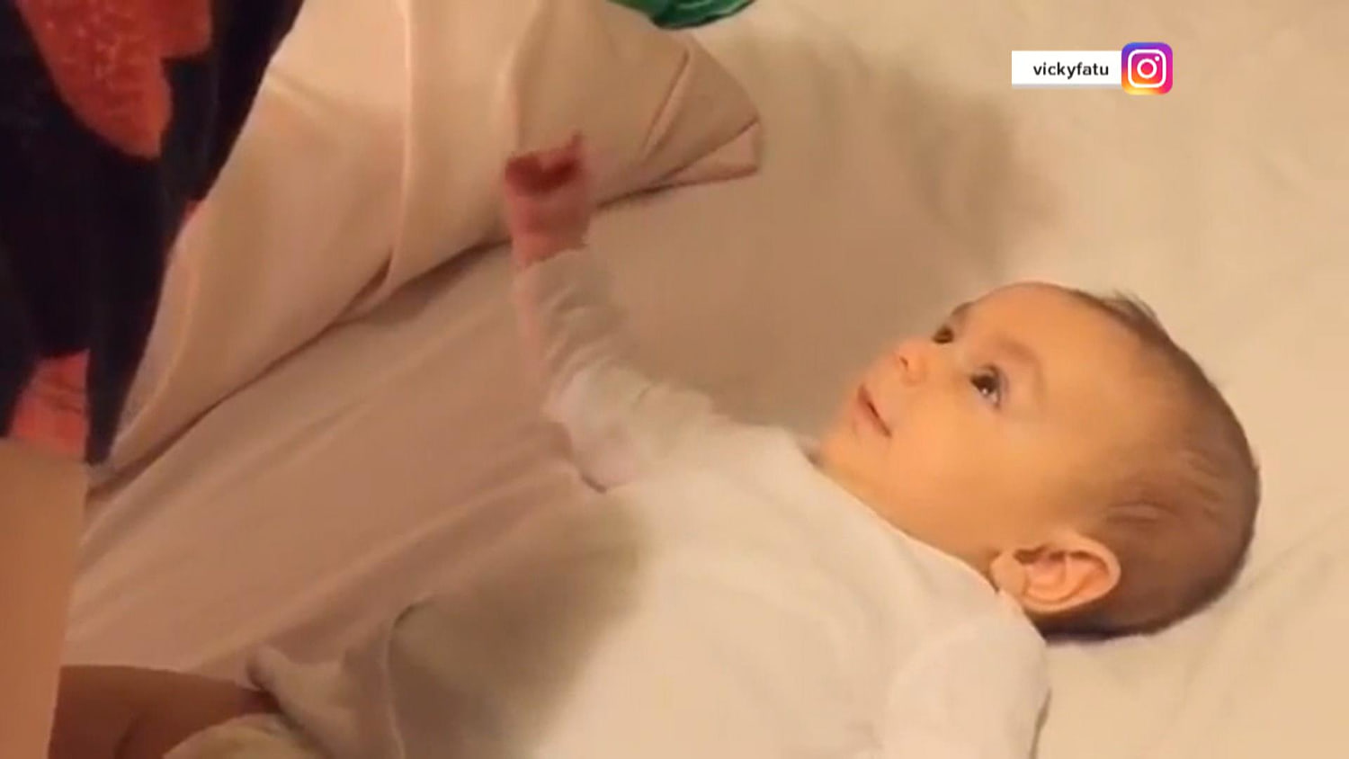 tdy_klg_baby_160928 pic