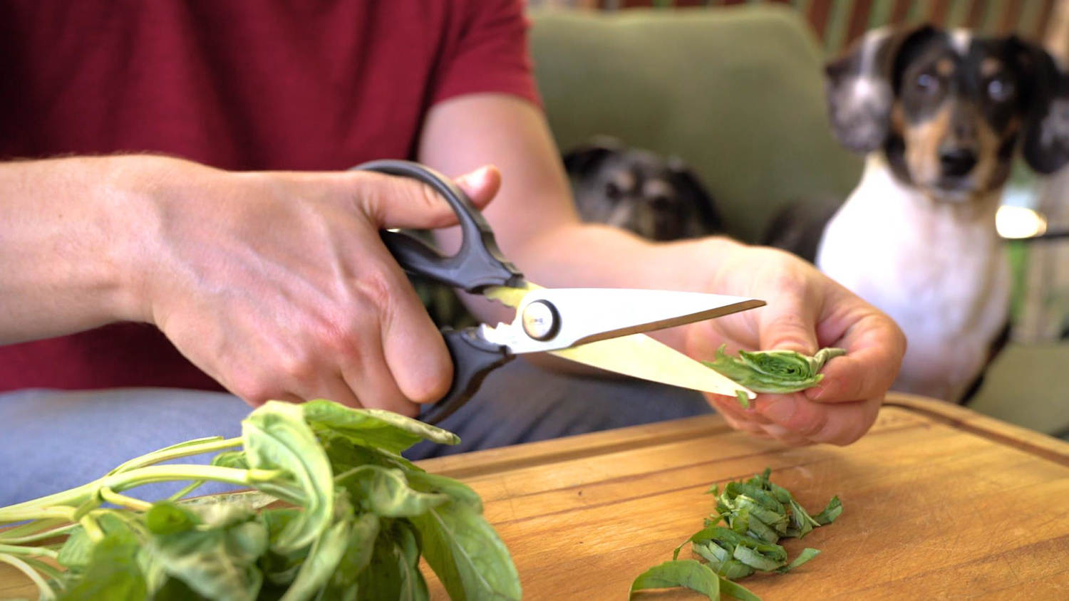x_tdy_ov_FOOD_SURPRISINGUSESKITCHENSCISSORS_170330.jpg
