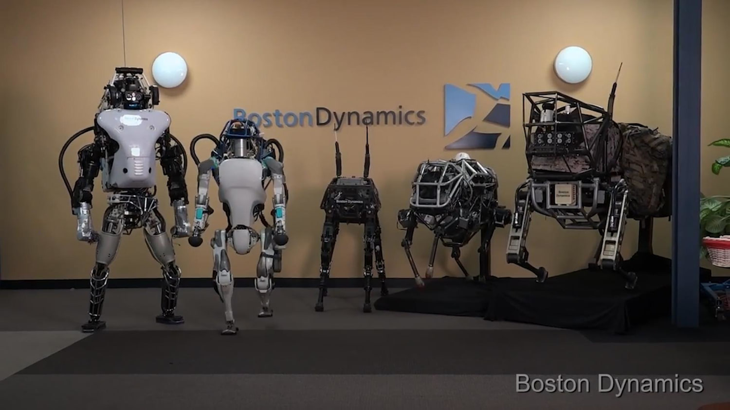 What Does the Future Hold for Boston Dynamics Fleet of Robots