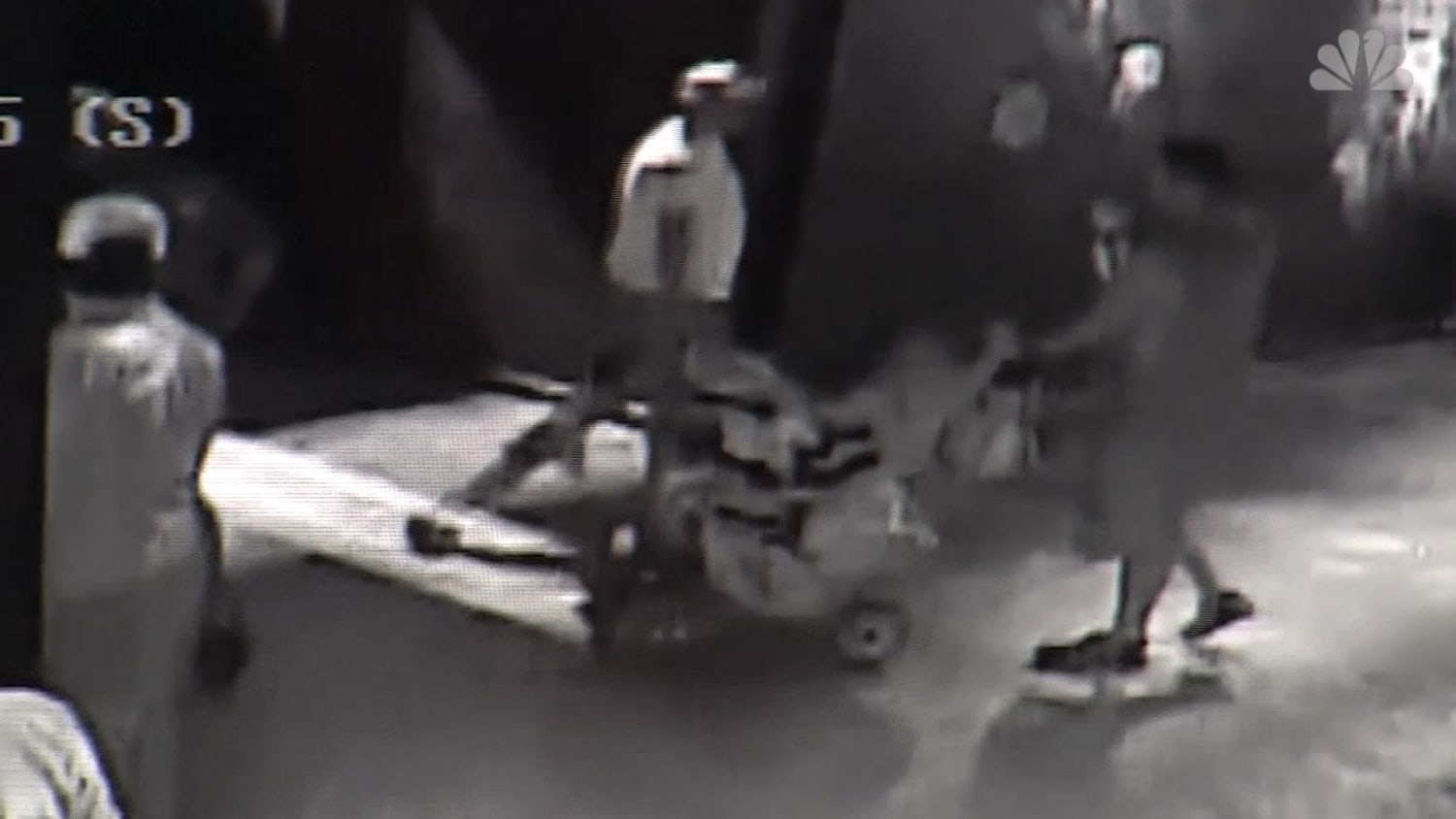 Shark stolen by three suspects using a baby stroller
