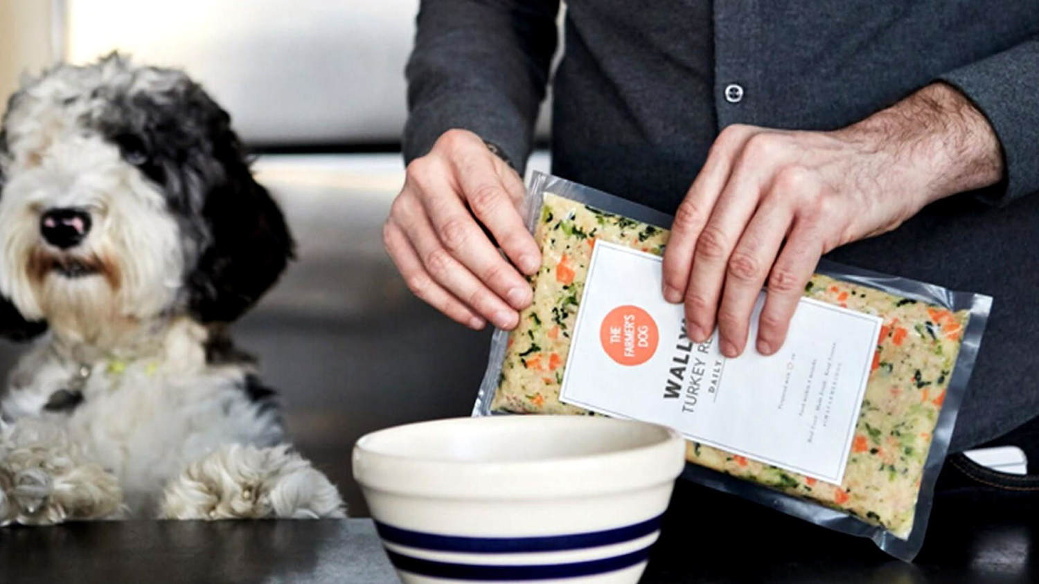 Dog new arrivals gourmet food