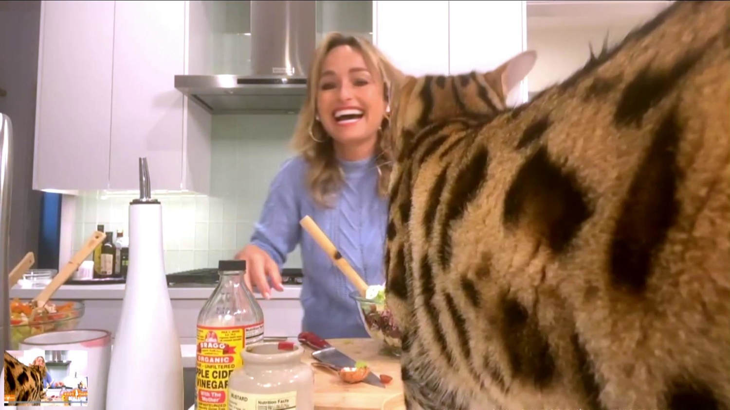 giada de laurentiis dog treats