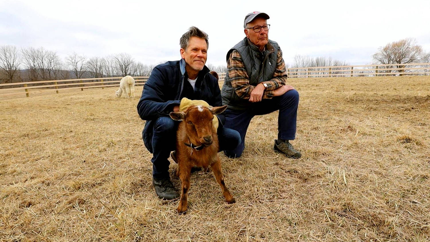 Kevin Bacon on giving Kyra Sedgwick goats for anniversary