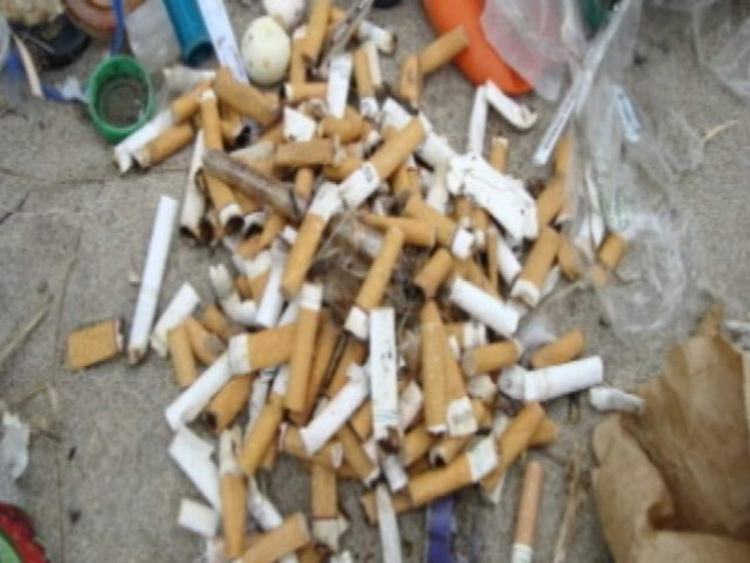 literotica cigarette U.S. to propose rule to limit nicotine levels in cigarettes Cigarette butts: how the no