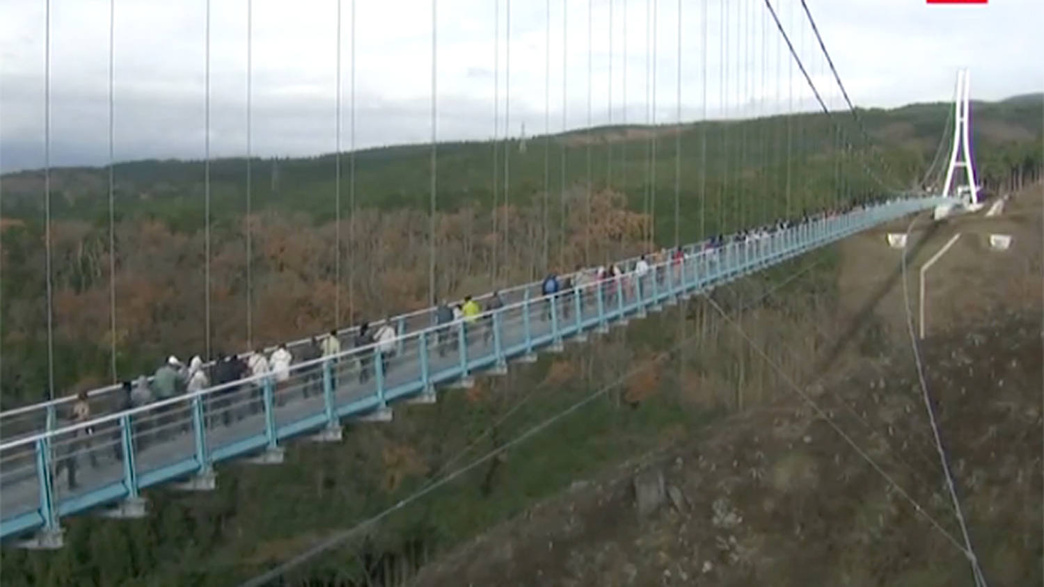 Https Www Nbcnews Com Nightly News Video Drone Owners Must Now Register With The Faa 585894979610 2015 12 15t00 22 06 000z Https Media Cldnry S Nbcnews Com Image Upload T Fit 1500w F Auto Q Auto Good 444 E Sharpen 60 Msnbc